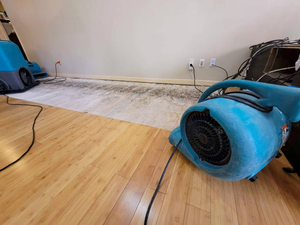 Professional Water Damage Repair technician working in Salem, IL